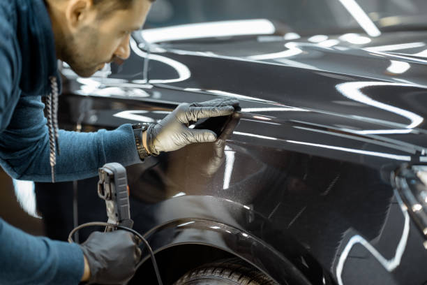 Panel & finish inspection